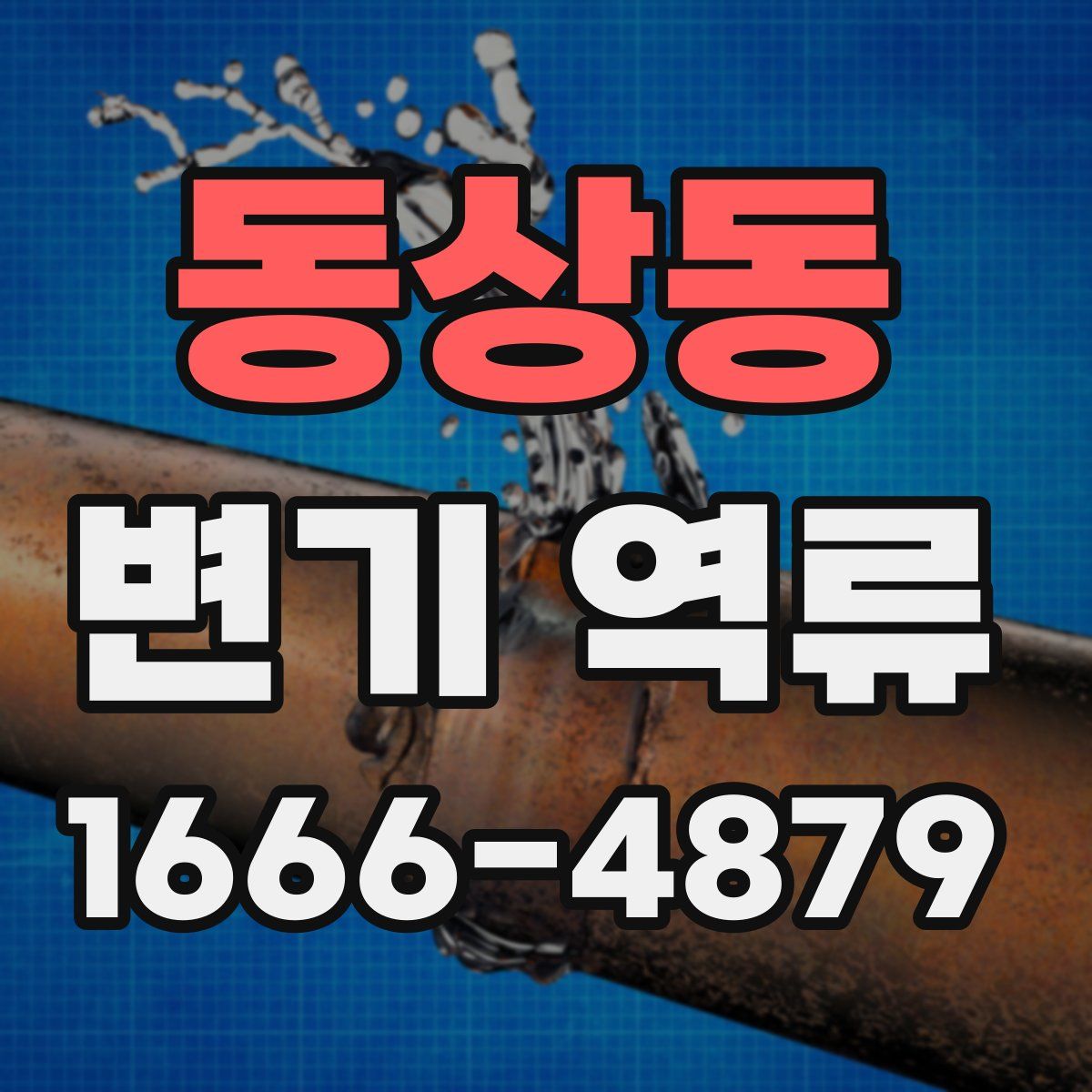 동상동 변기 역류