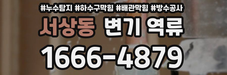 서상동 변기 역류