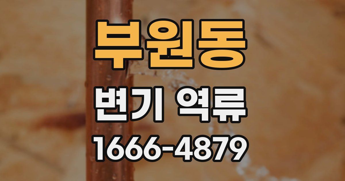 부원동 변기 역류