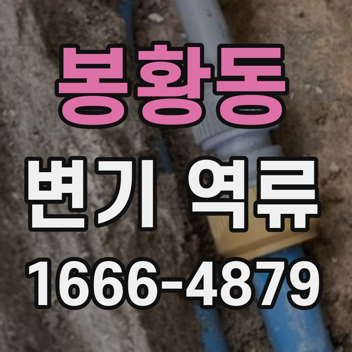 봉황동 변기 역류