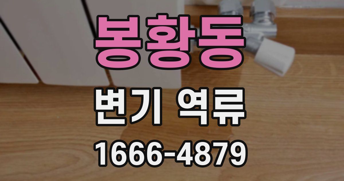 봉황동 변기 역류