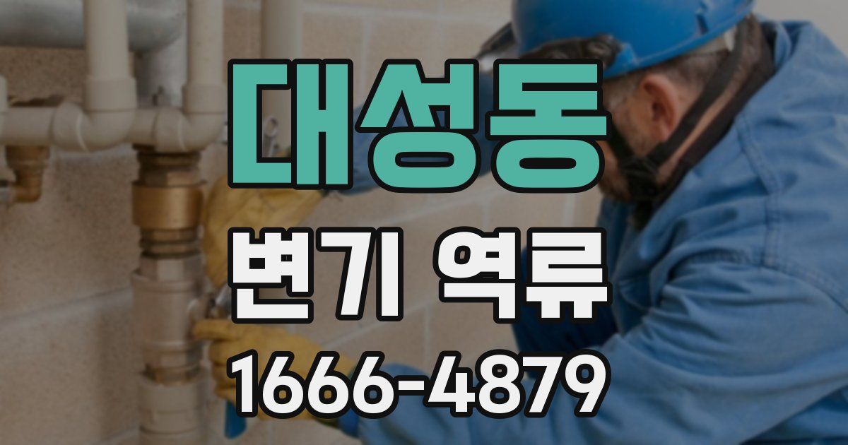 대성동 변기 역류