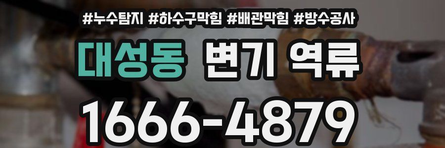 대성동 변기 역류