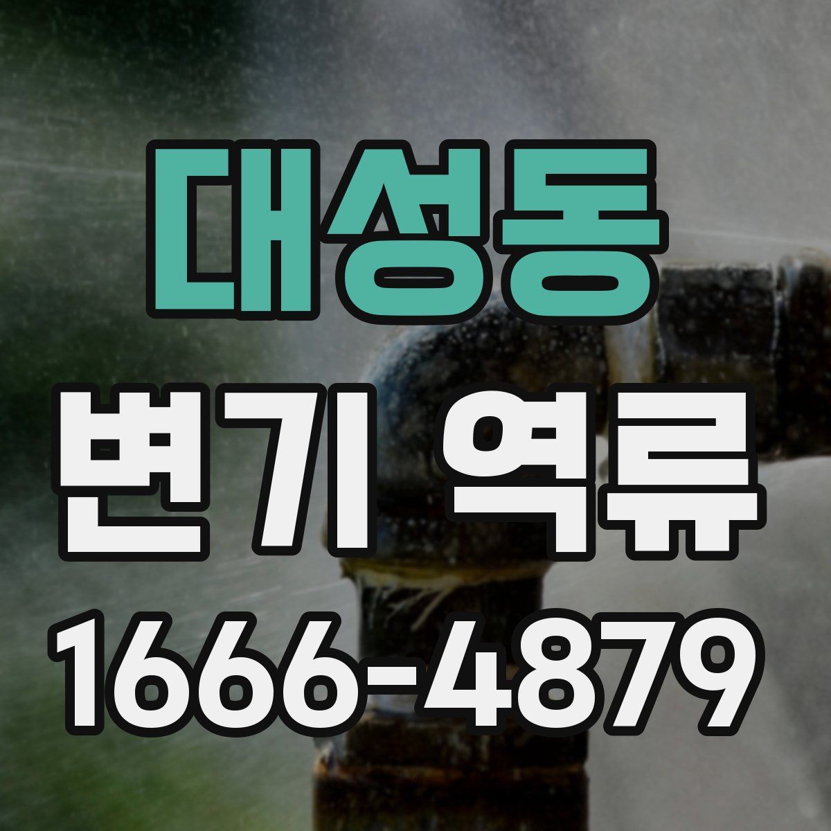 대성동 변기 역류