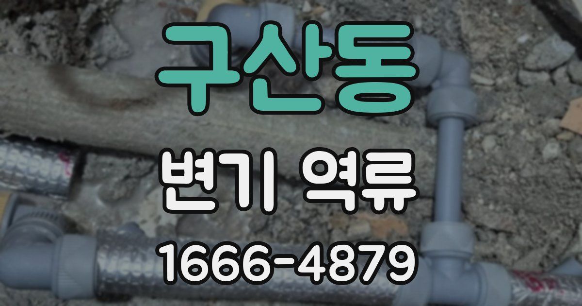 구산동 변기 역류