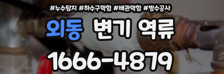 외동 변기 역류