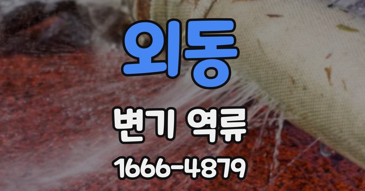 외동 변기 역류