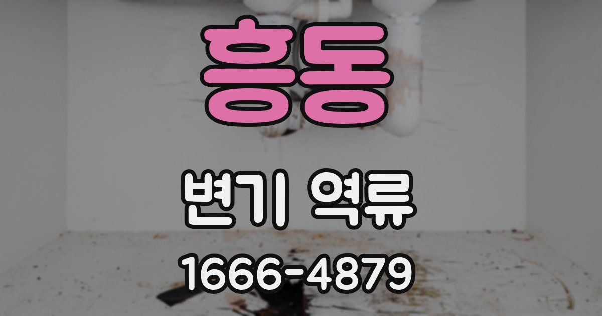 흥동 변기 역류