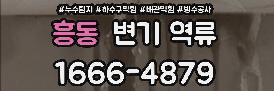 흥동 변기 역류