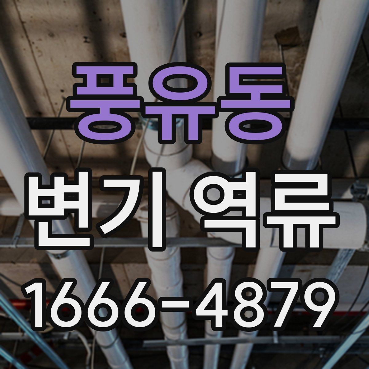 풍유동 변기 역류 냄새까지 동반되면 의심할 점