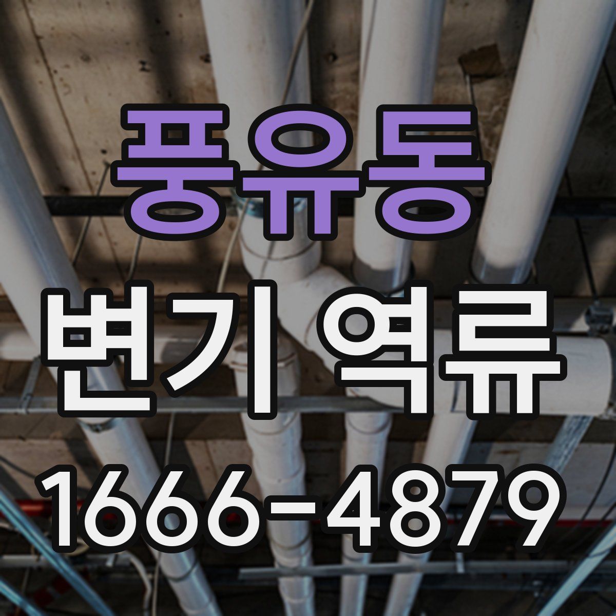 풍유동 변기 역류