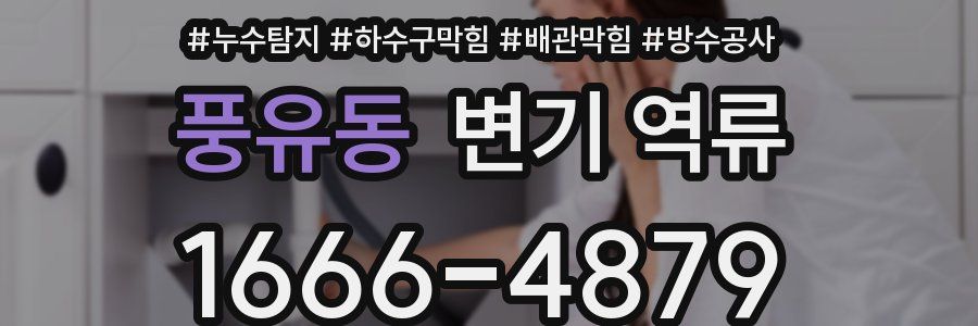 풍유동 변기 역류