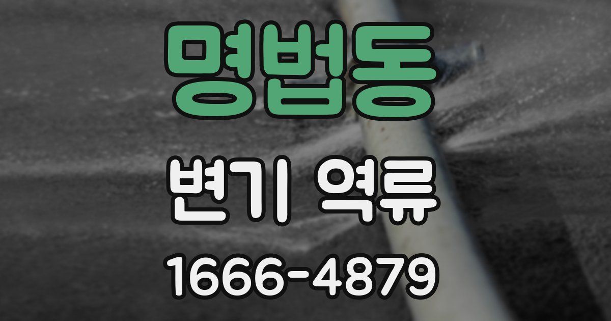 명법동 변기 역류