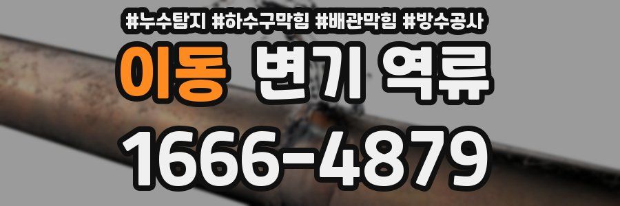 이동 변기 역류