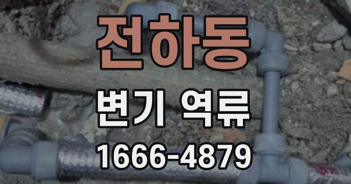전하동 변기 역류