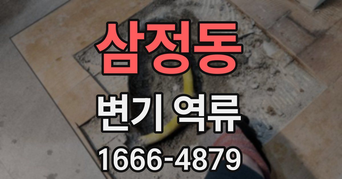 삼정동 변기 역류