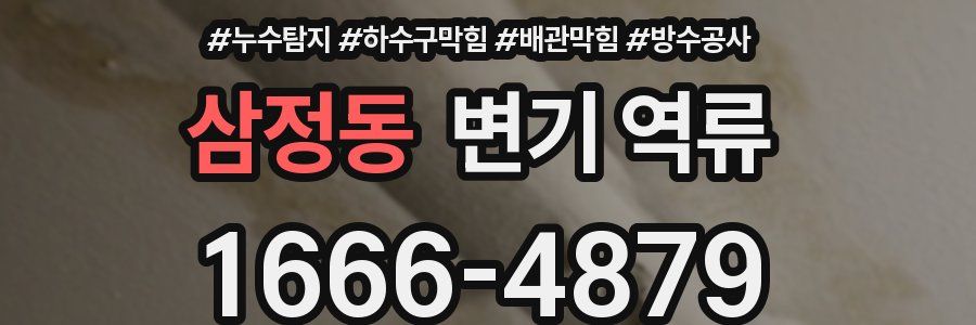 삼정동 변기 역류