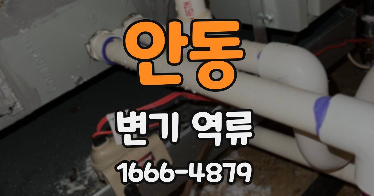 안동 변기 역류