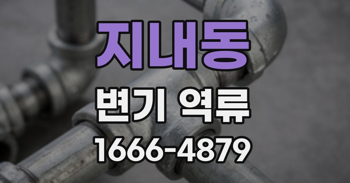 지내동 변기 역류