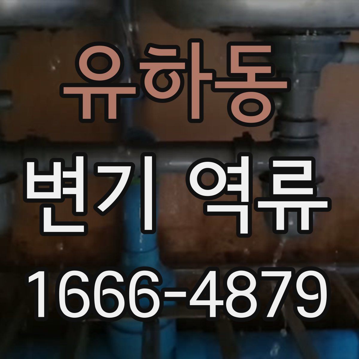 유하동 변기 역류 물이 천천히 빠질 때 체크할 곳