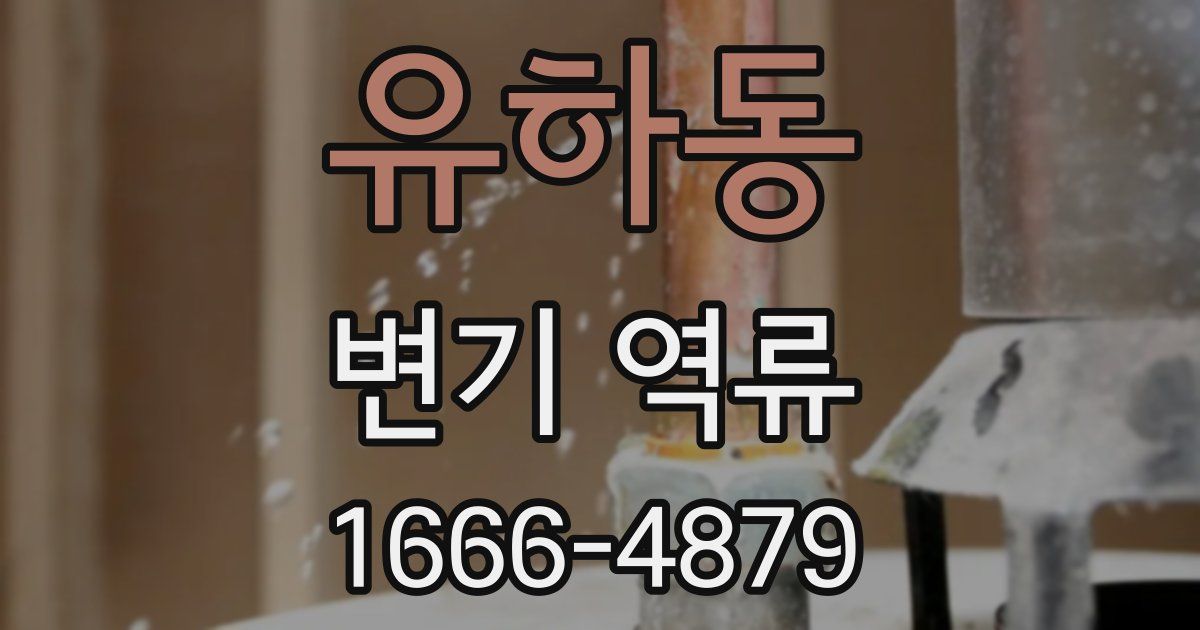 유하동 변기 역류