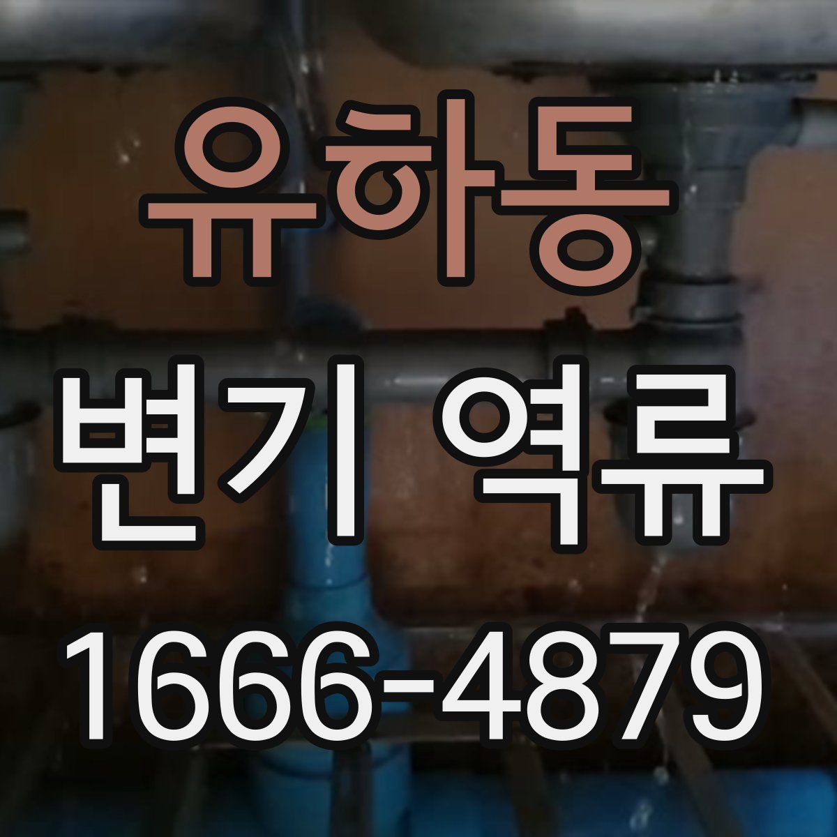 유하동 변기 역류