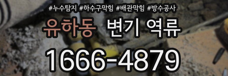 유하동 변기 역류