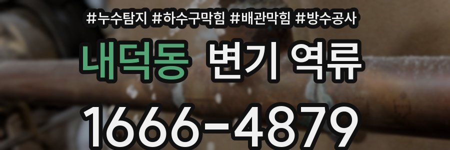 내덕동 변기 역류