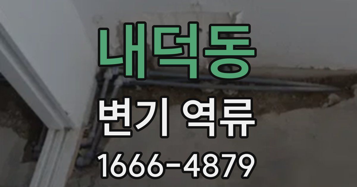 내덕동 변기 역류