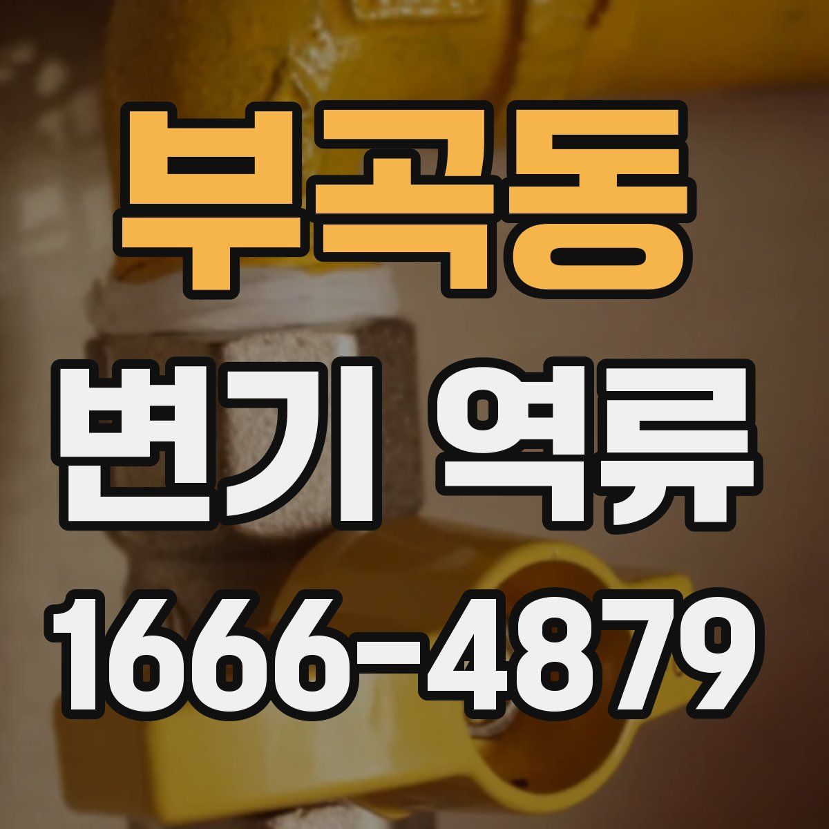 부곡동 변기 역류
