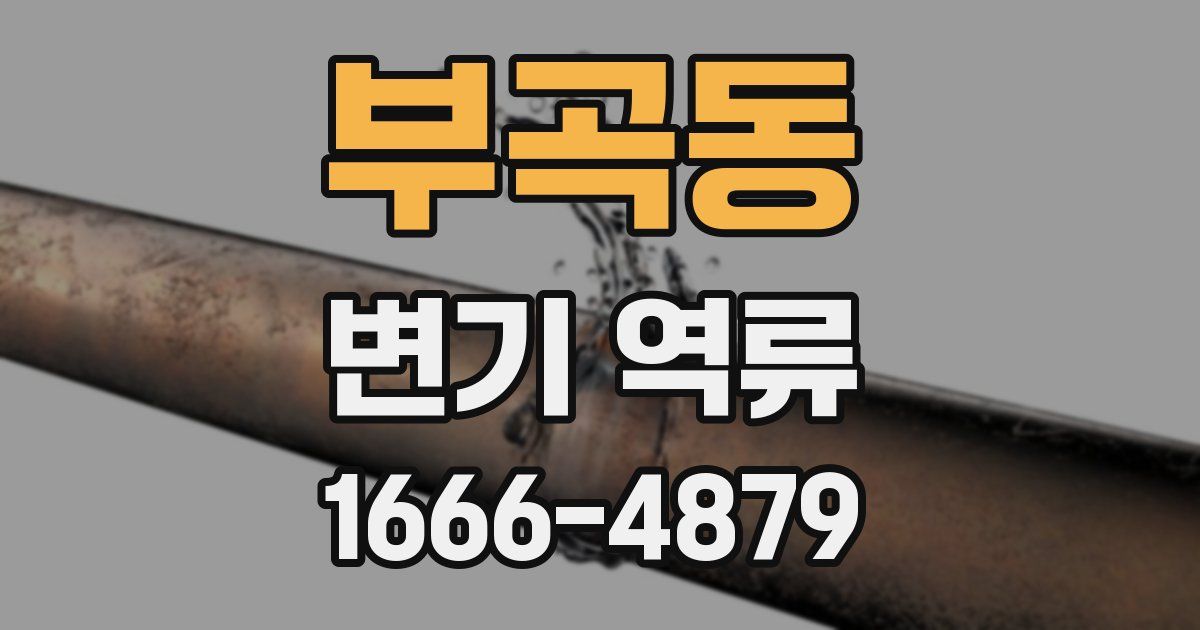 부곡동 변기 역류