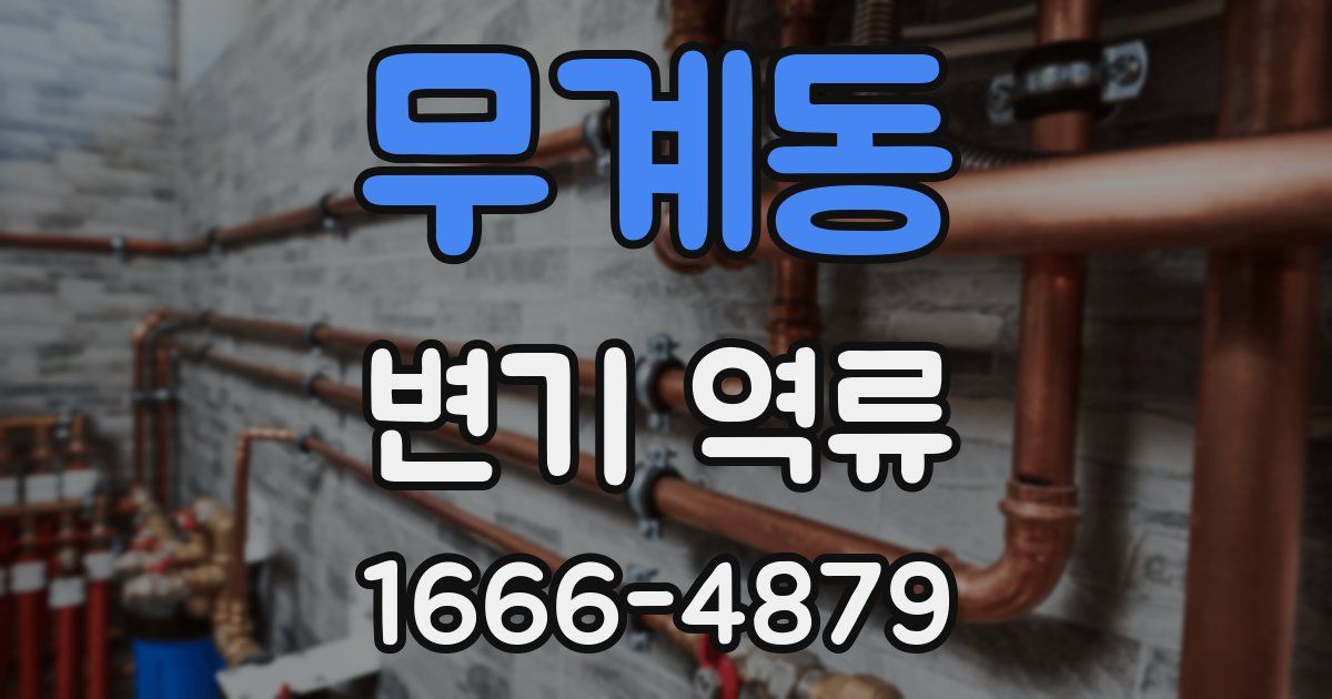 무계동 변기 역류