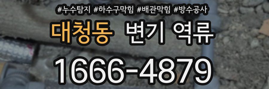 대청동 변기 역류