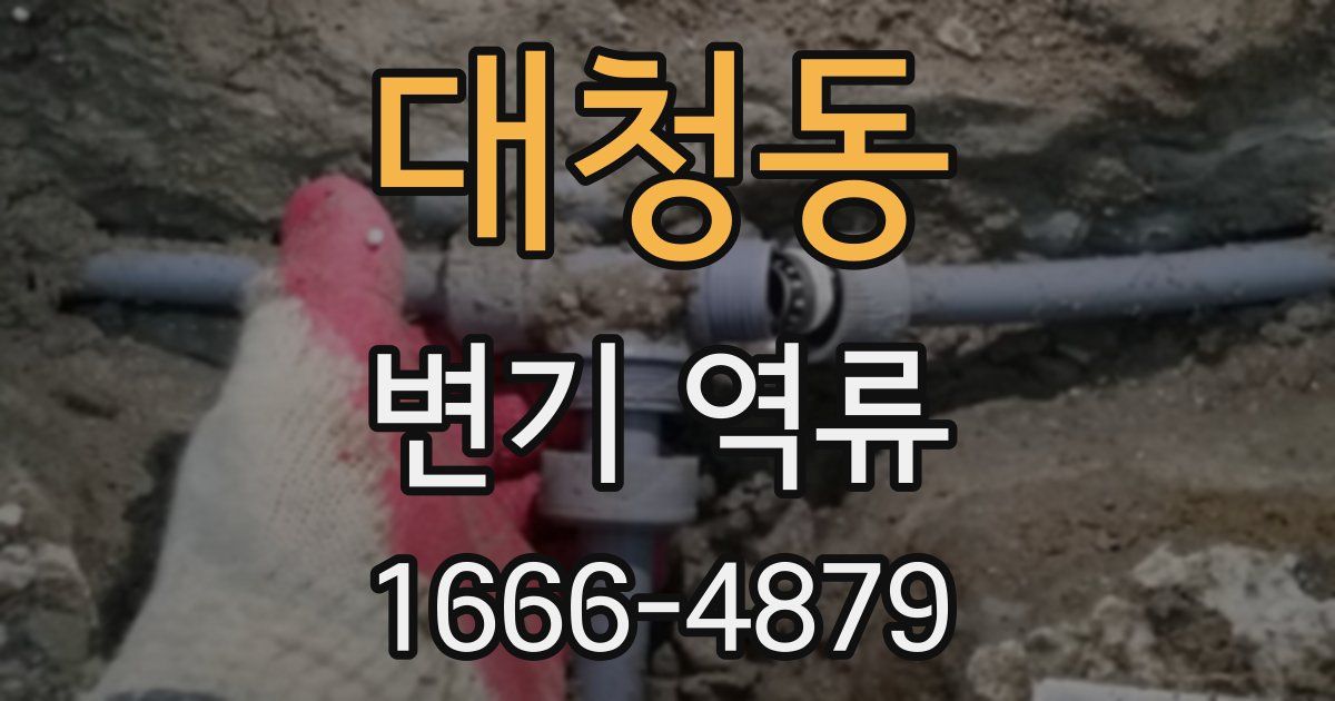 대청동 변기 역류