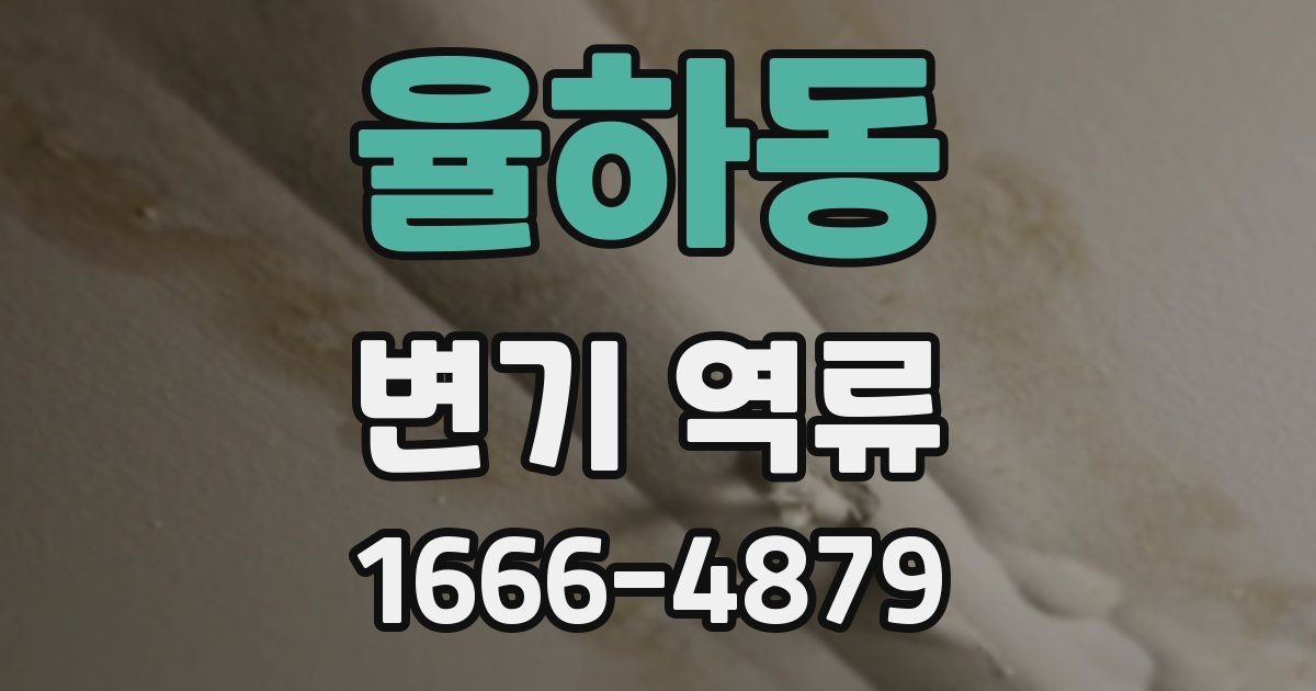 율하동 변기 역류