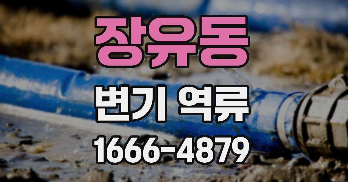 장유동 변기 역류