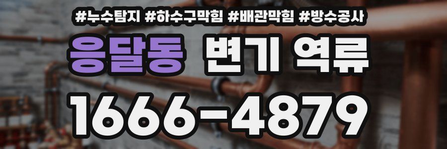 응달동 변기 역류