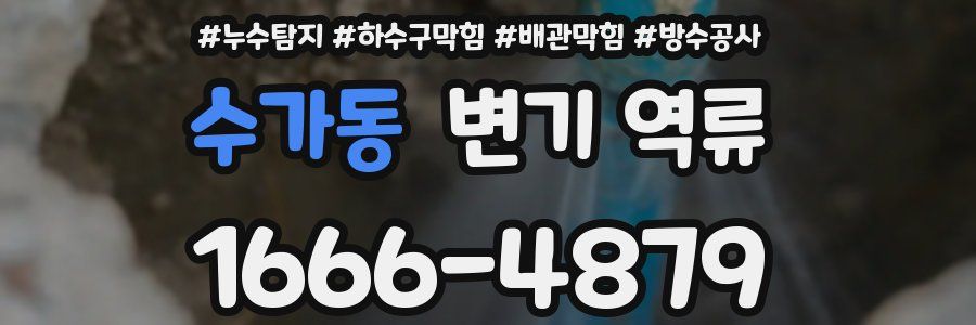 수가동 변기 역류