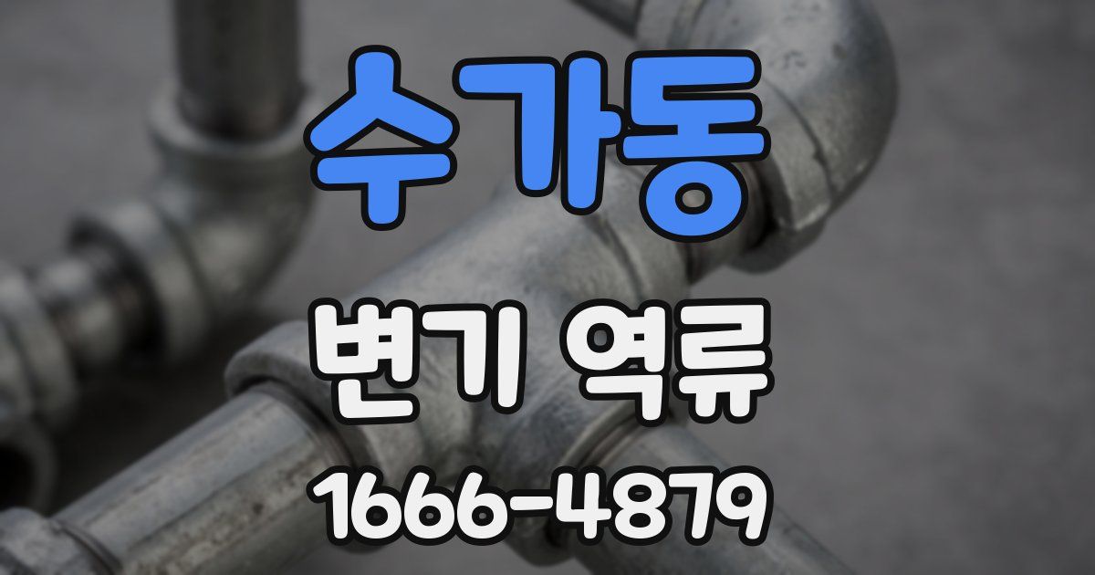 수가동 변기 역류