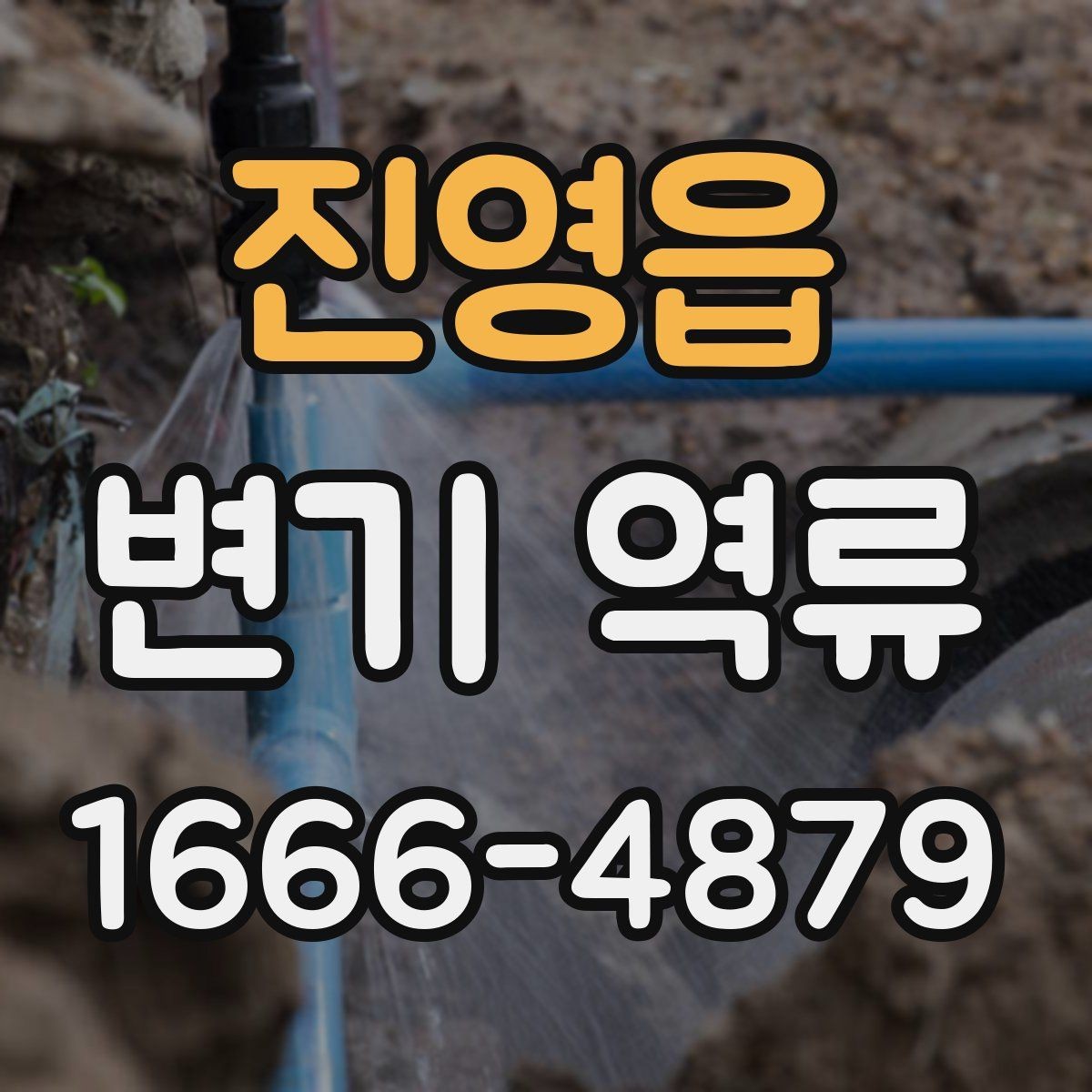 진영읍 변기 역류 화장실 배수 문제를 구별하는 기준