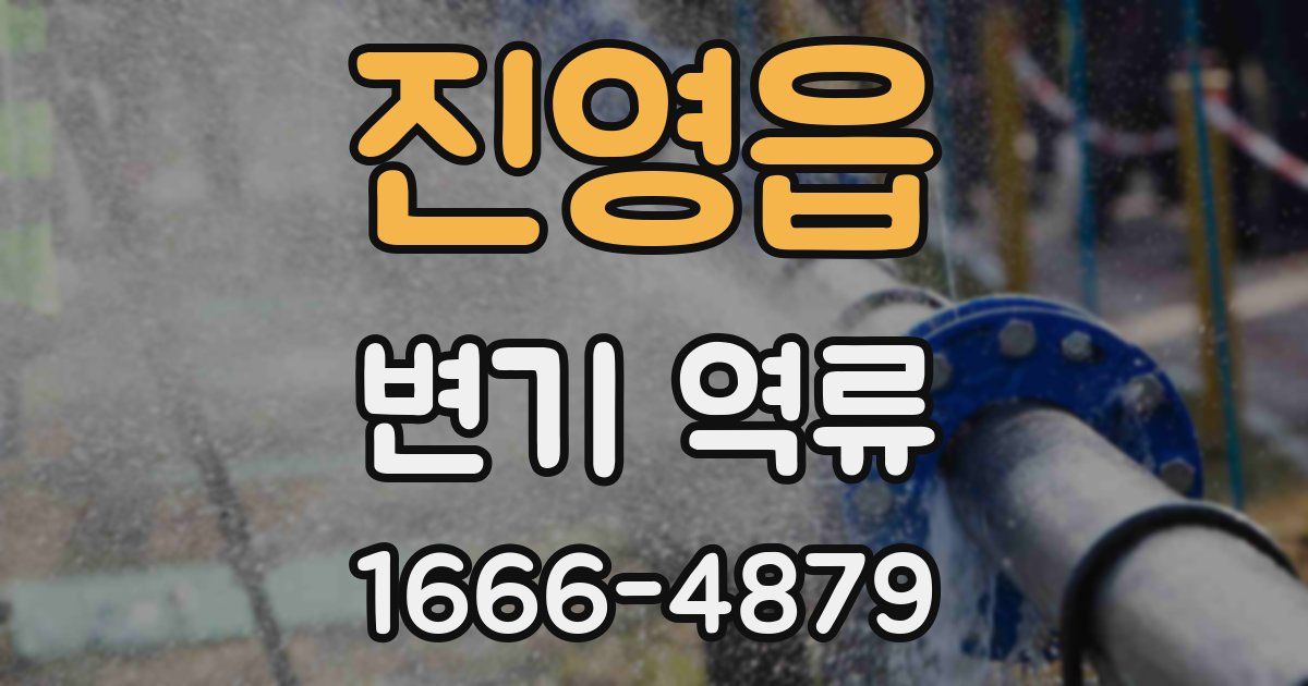 진영읍 변기 역류