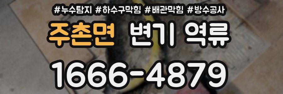 주촌면 변기 역류