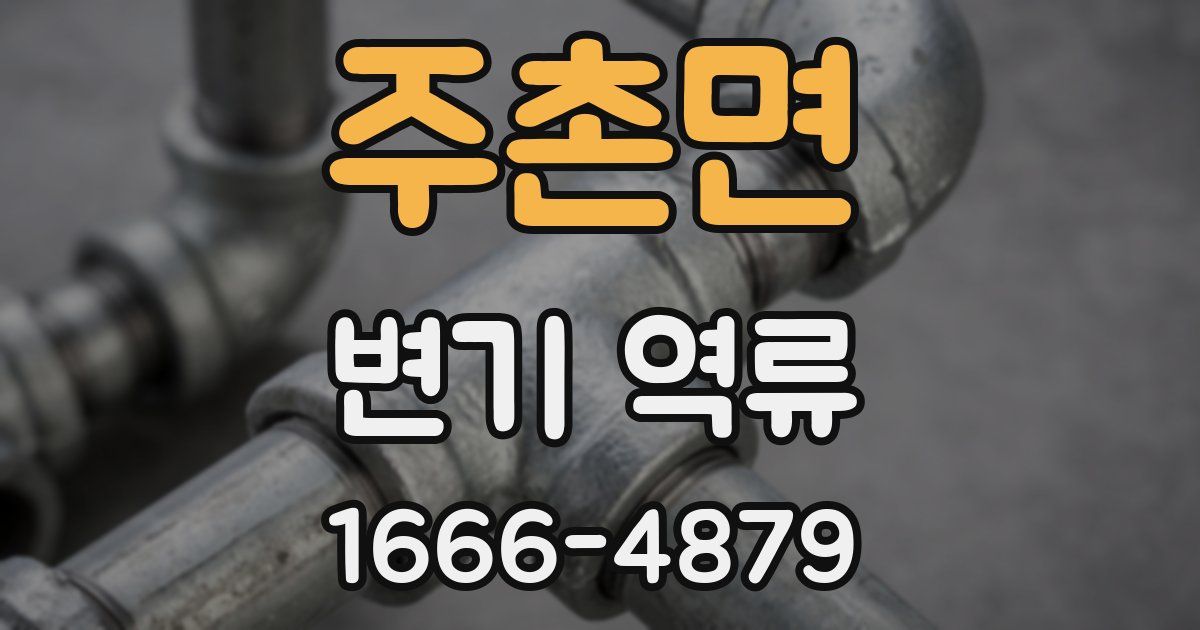 주촌면 변기 역류