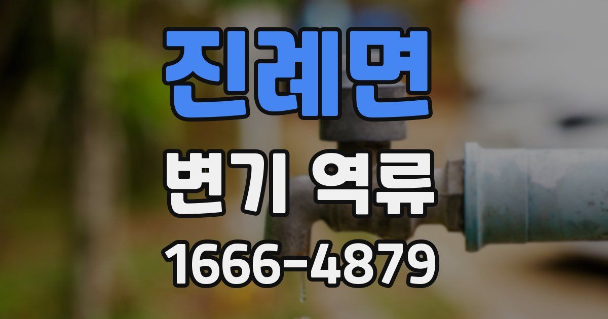 진례면 변기 역류
