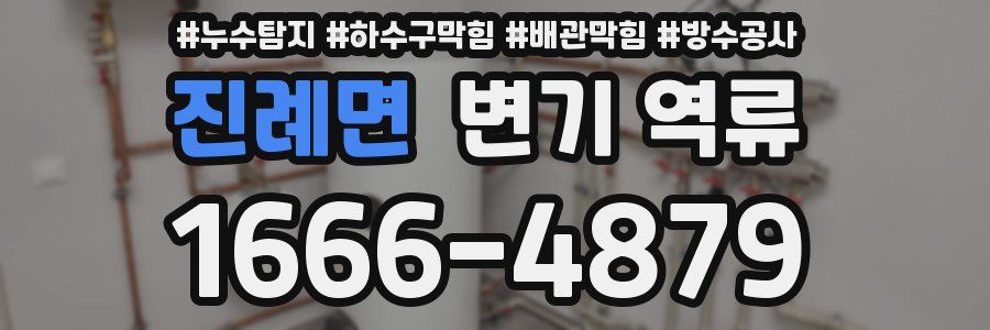 진례면 변기 역류