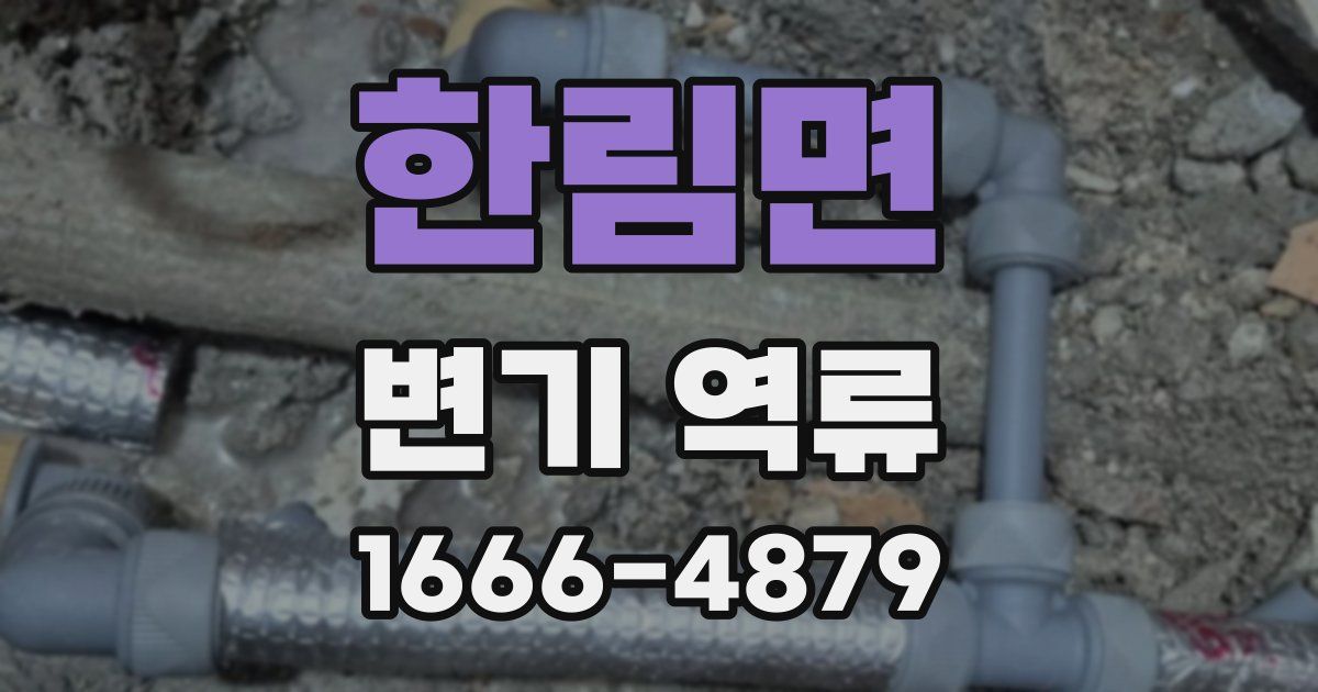 한림면 변기 역류
