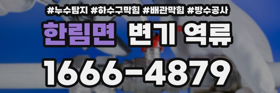 한림면 변기 역류