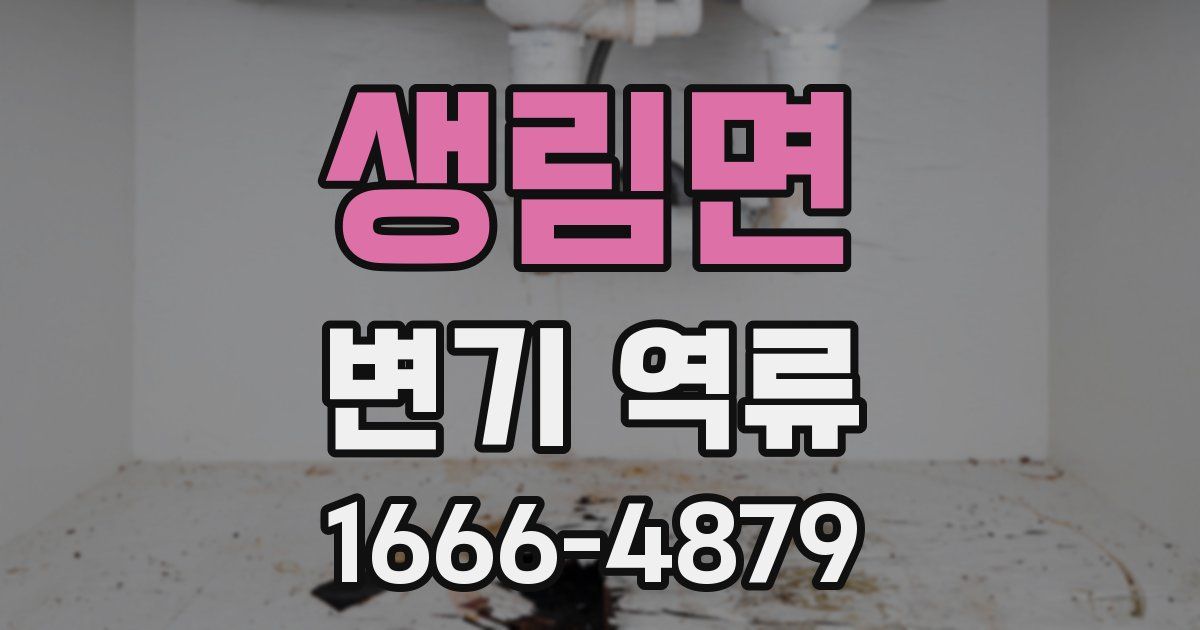 생림면 변기 역류
