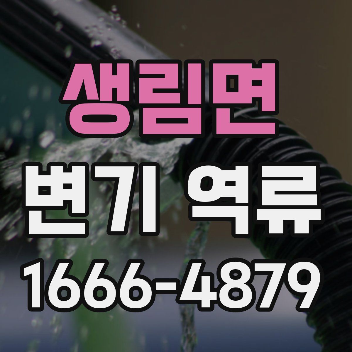 생림면 변기 역류
