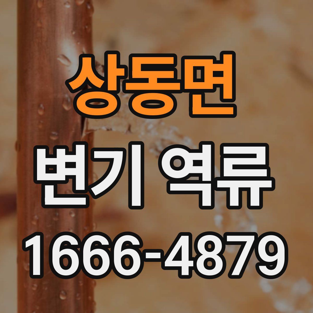 상동면 변기 역류